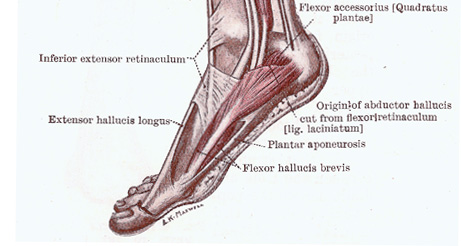 arch pain in foot while exercising